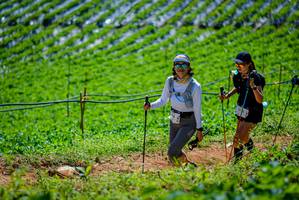 BIB: 
                            <button type="button" onclick="openModal(19164620)" class="btn btn-primary btn-sm float-right btn-popup" data-toggle="modal" data-target=".modal-high-quality">
                        <i class="fas fa-shopping-cart"></i> Add to Cart
                    </button>
                                            <button type="button" onclick="isThisMe(19164620, true)" class="btn btn-success btn-sm float-right btn-popup btn-isme hidden" data-toggle="tooltip" data-placement="bottom" title="นี่คือรูปของคุณใช่ไหม คลิกที่นี่เพื่อเอาเข้าอัลบั้ม">
                        <i class="fas fa-plus"></i> Add to album
                    </button>
                    <button type="button" onclick="isThisMe(19164620, false)" class="btn btn-warning btn-sm float-right btn-popup btn-isnotme hidden">
                        <i class="fas fa-ban"></i> Remove from album
                    </button>